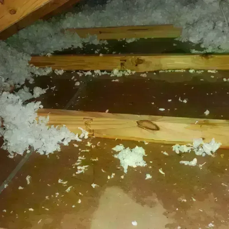 Attic Water Damage in Roseburg North, OR