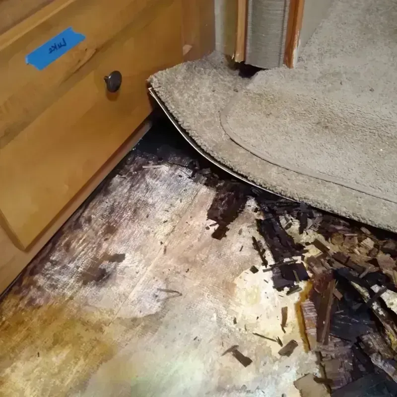 Wood Floor Water Damage in Roseburg North, OR